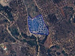 Plot - Grekodom 65150|1041832