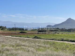 Θέα από το αγροτεμάχιο