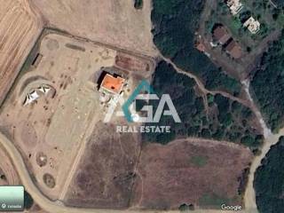 Ύπαρξη ανθρώπου