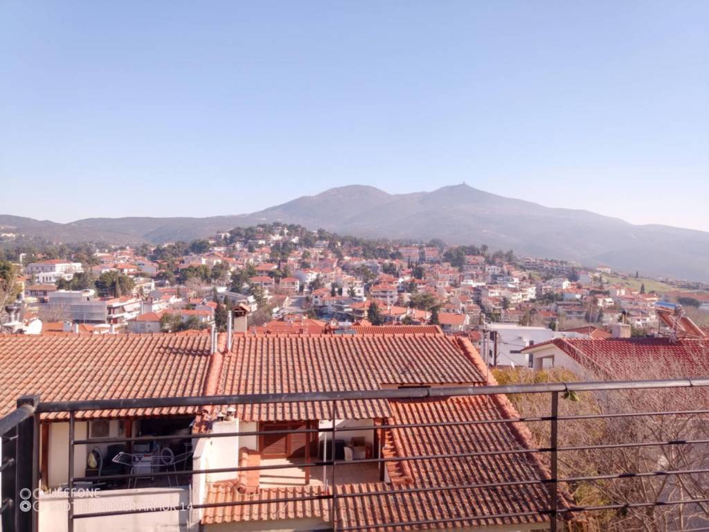 ΘΕΑ 1 ΕΠΙΠΕΔΟΥ