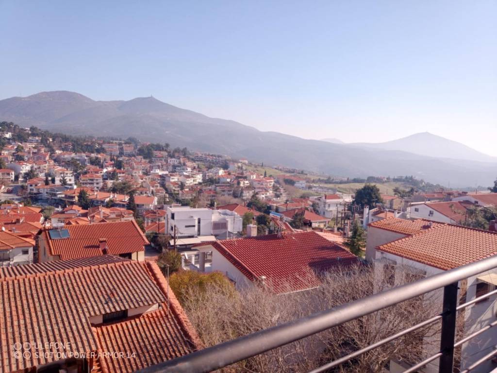 ΘΕΑ 1 ΕΠΙΠΕΔΟΥ