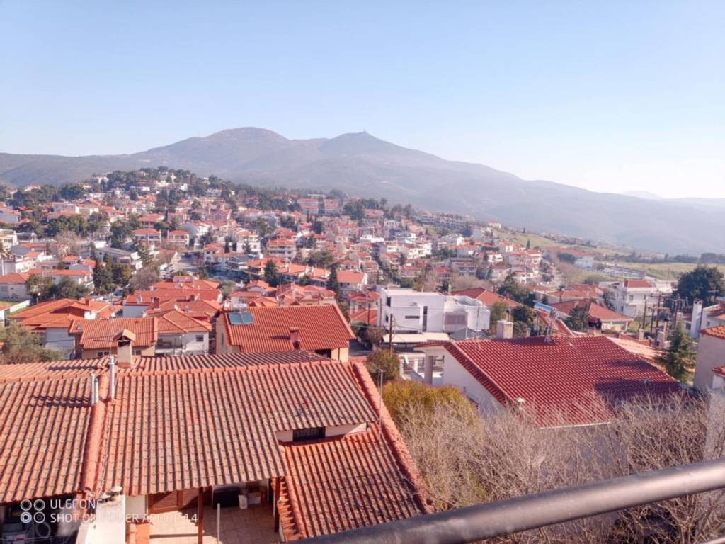 ΘΕΑ 2 ΕΠΙΠΕΔΟ