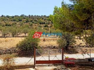 Ύπαρξη ανθρώπου