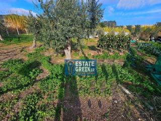 ★ Δεν κτίζει ★ Πρόσωπο σε ασφαλτόδρομο ★ 5μ από θάλασσα