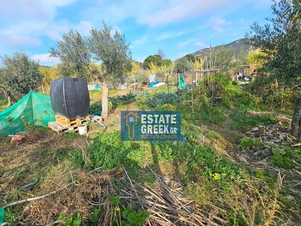 ★ Δεν κτίζει ★ Πρόσωπο σε ασφαλτόδρομο ★ 5μ από θάλασσα