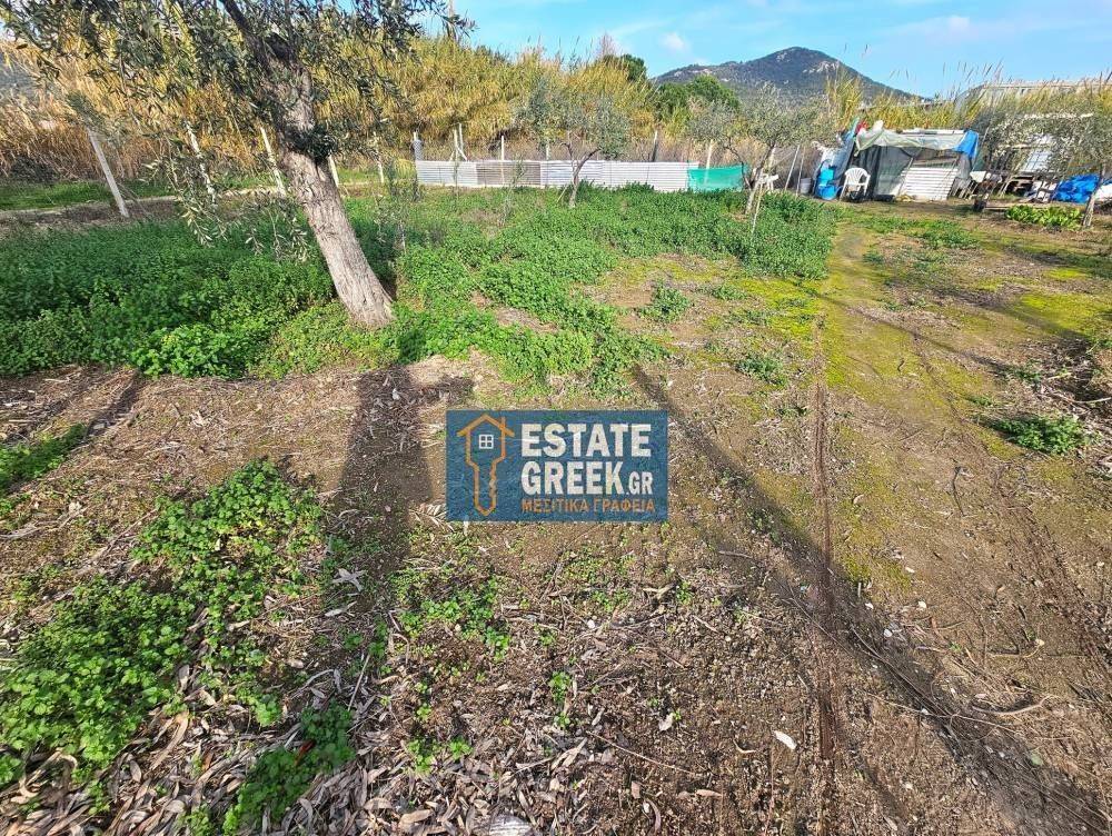 ★ Δεν κτίζει ★ Πρόσωπο σε ασφαλτόδρομο ★ 5μ από θάλασσα