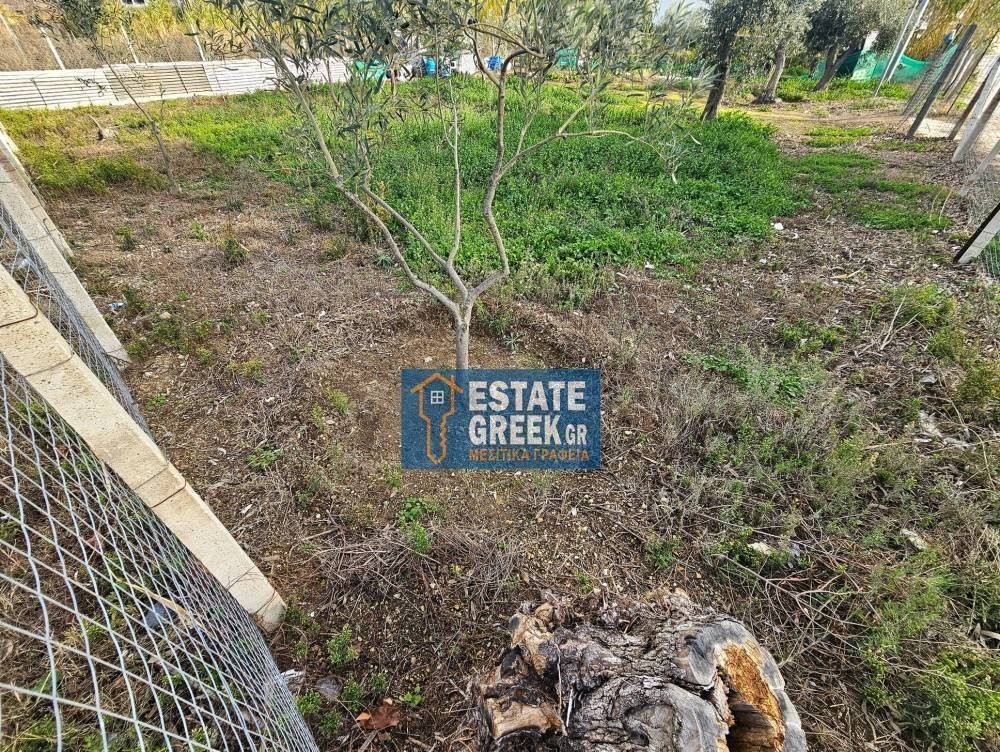 ★ Δεν κτίζει ★ Πρόσωπο σε ασφαλτόδρομο ★ 5μ από θάλασσα