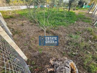 ★ Δεν κτίζει ★ Πρόσωπο σε ασφαλτόδρομο ★ 5μ από θάλασσα