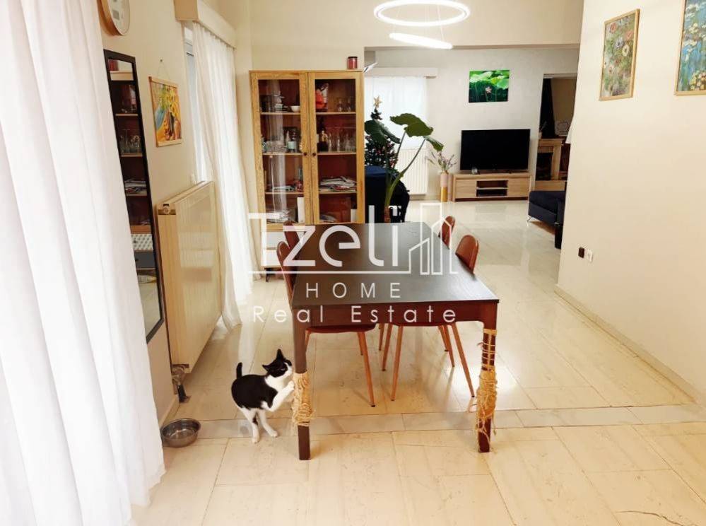 Άποψη χώρου