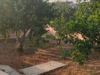 Detached - Grekodom 65187|1042522