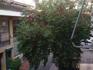 THea ston pezodromo sten prosopse