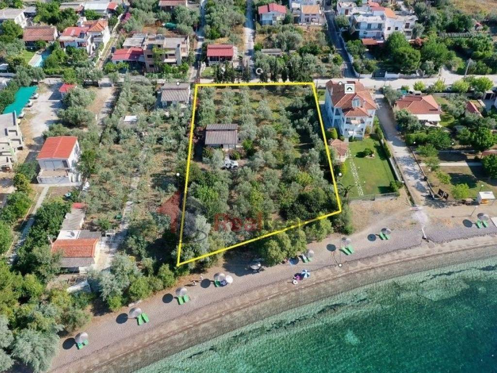 Εξωτερικοι χώροι