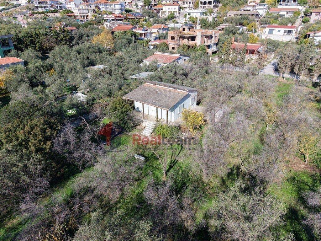 Εξωτερικοι χώροι