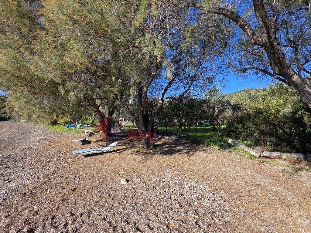 Εξωτερικοι χώροι