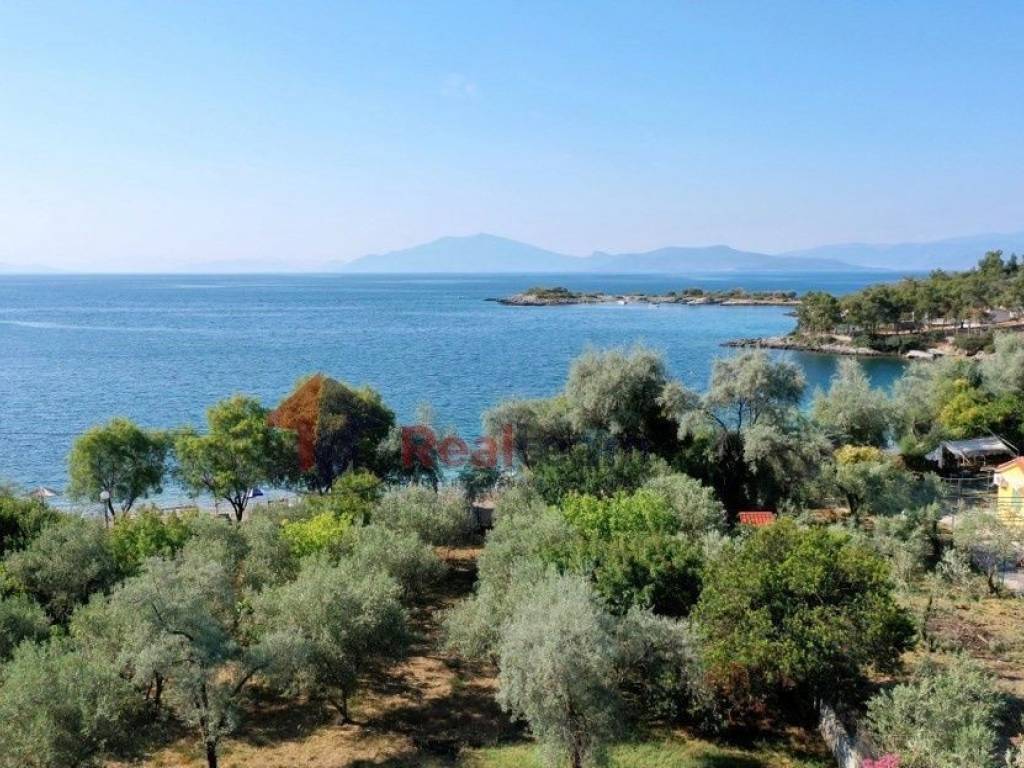 Εξωτερικοι χώροι