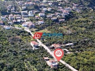 Ύπαρξη ανθρώπου