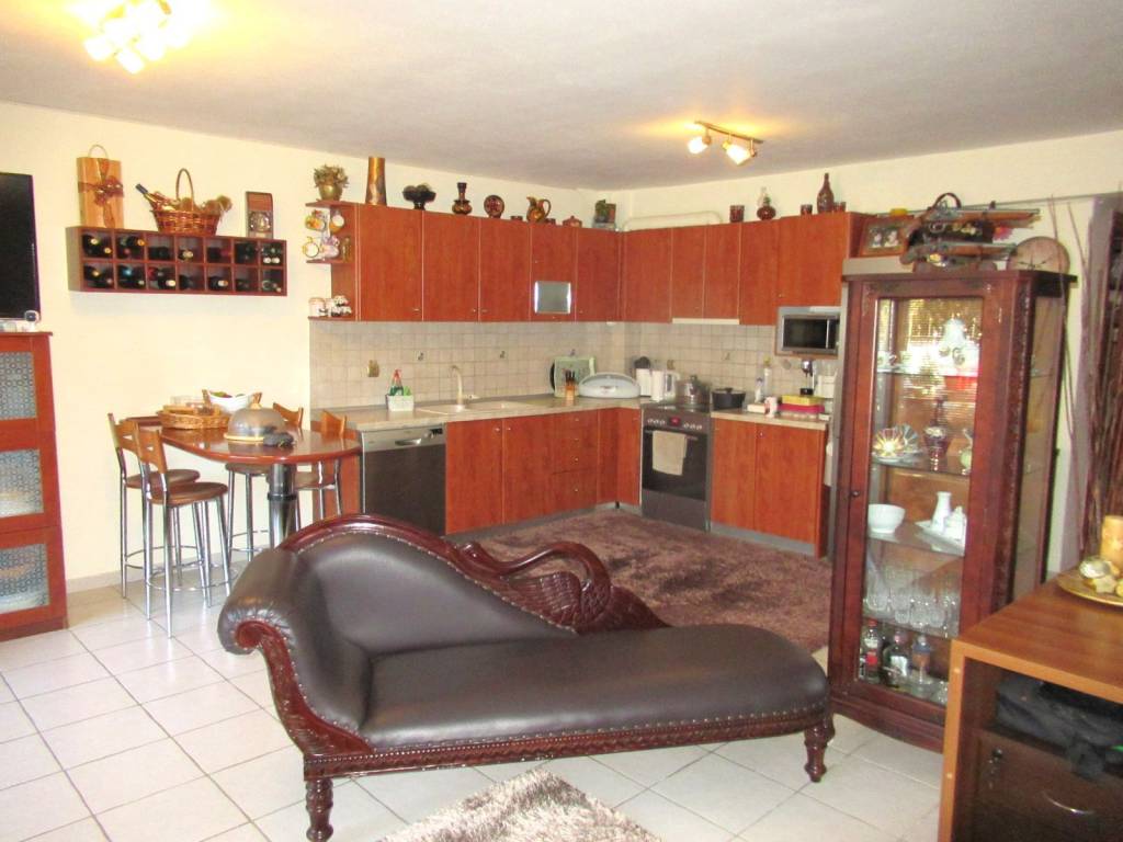 Salonokoyzina isogeioy