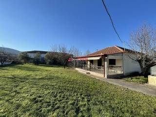 ΜΟΝΟΚΑΤΟΙΚΙΑ