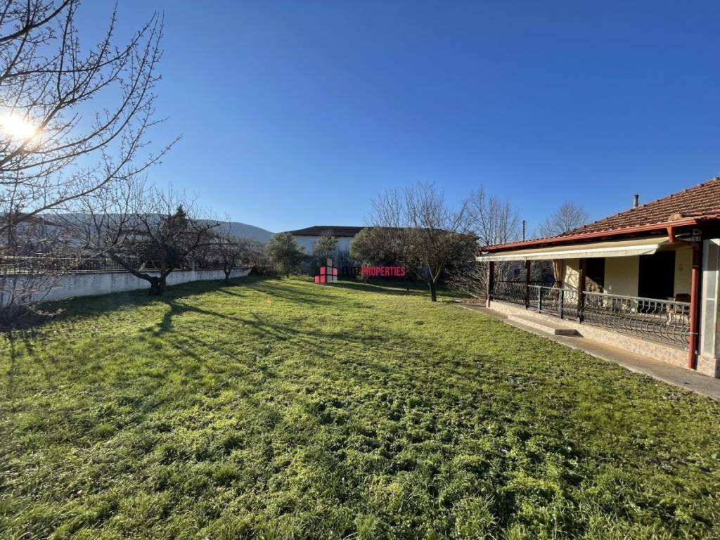 ΜΟΝΟΚΑΤΟΙΚΙΑ