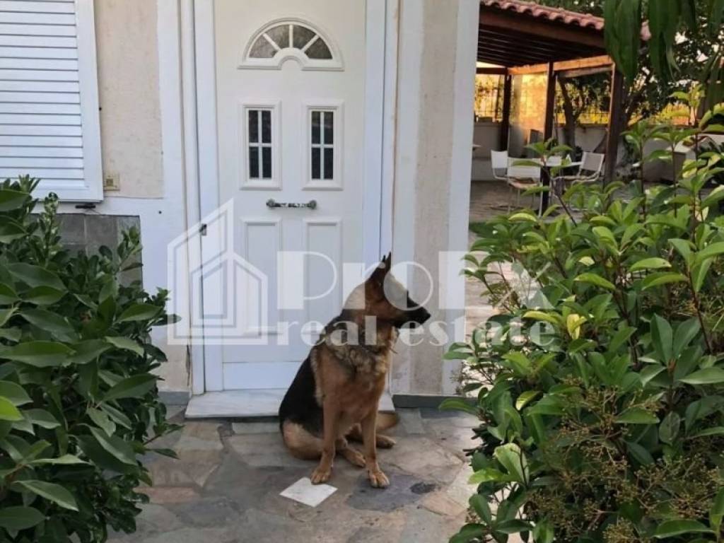 Εξωτερικός χώρος