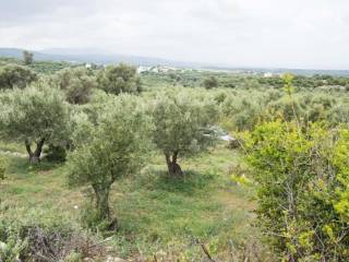 Plot - Grekodom 62016|987048