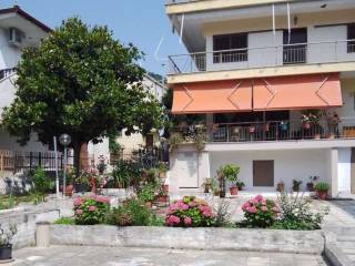 Apartment - Grekodom 65191|1042563