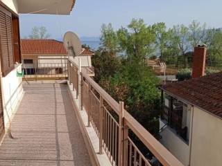 Apartment - Grekodom 65188|1042532