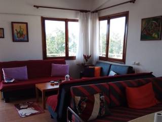 Apartment - Grekodom 65188|1042544