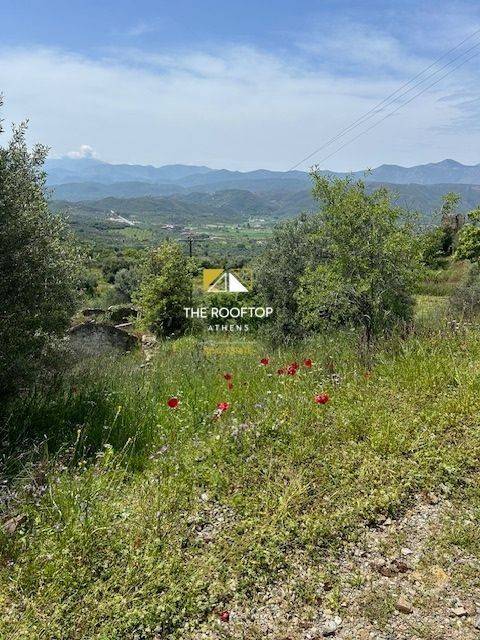 οικόπεδο ( εικόνα 2η)