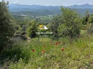 οικόπεδο ( εικόνα 2η)