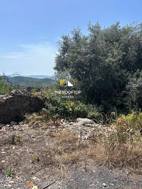 οικόπεδο ( εικόνα 3)