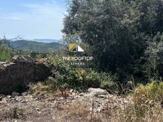 οικόπεδο ( εικόνα 3)