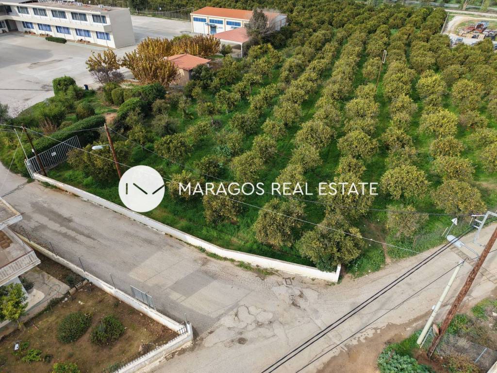 Εξωτερικοι χώροι