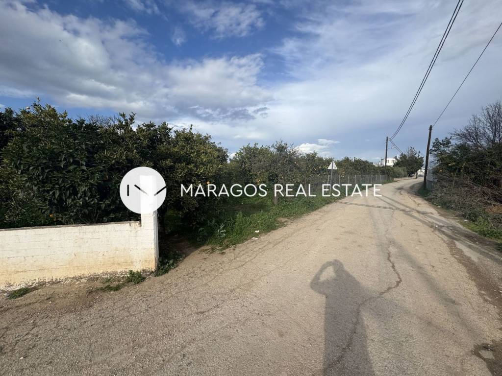 Εξωτερικοι χώροι