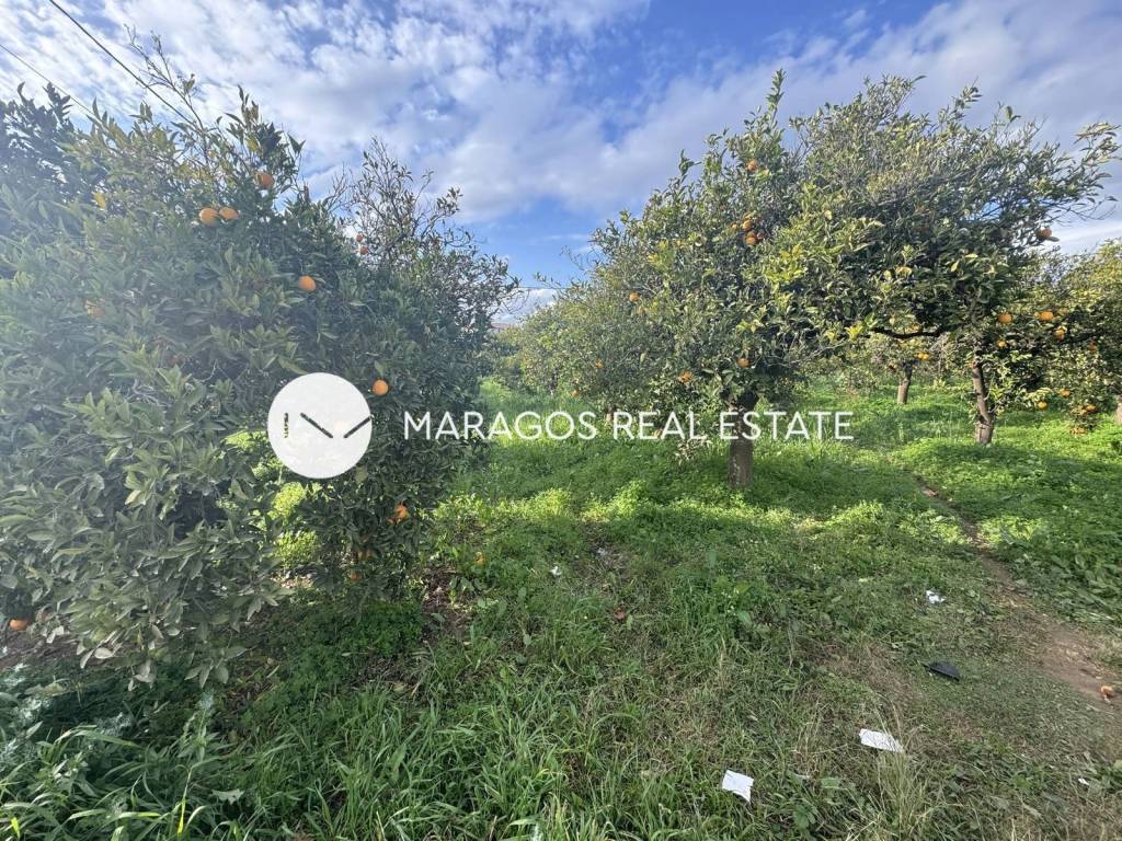 Εξωτερικοι χώροι