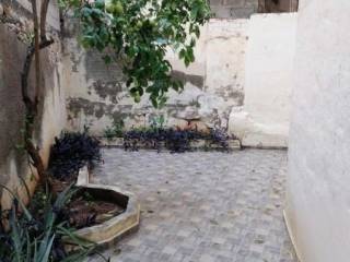 Αυλη - Κηπος