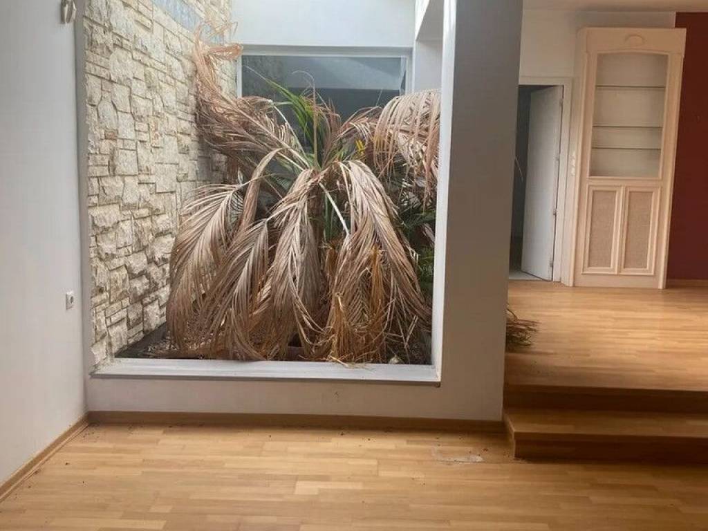 Detached - Grekodom 65202|1042853