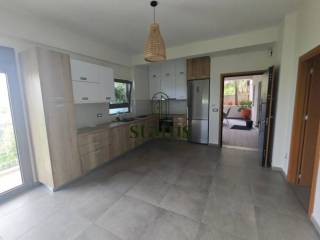 Σαλοκουζίνα