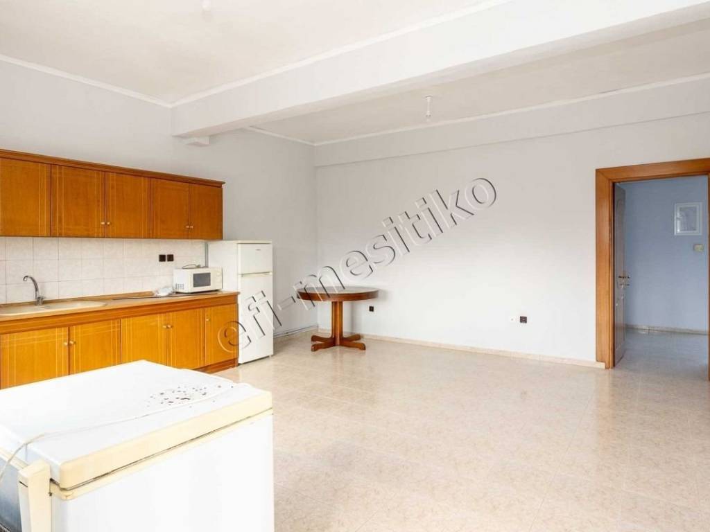 Σαλοκουζίνα