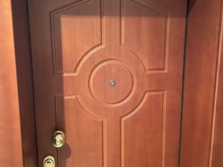 ΘΩΡΑΚΙΣΜΕΝΗ ΠΟΡΤΑ