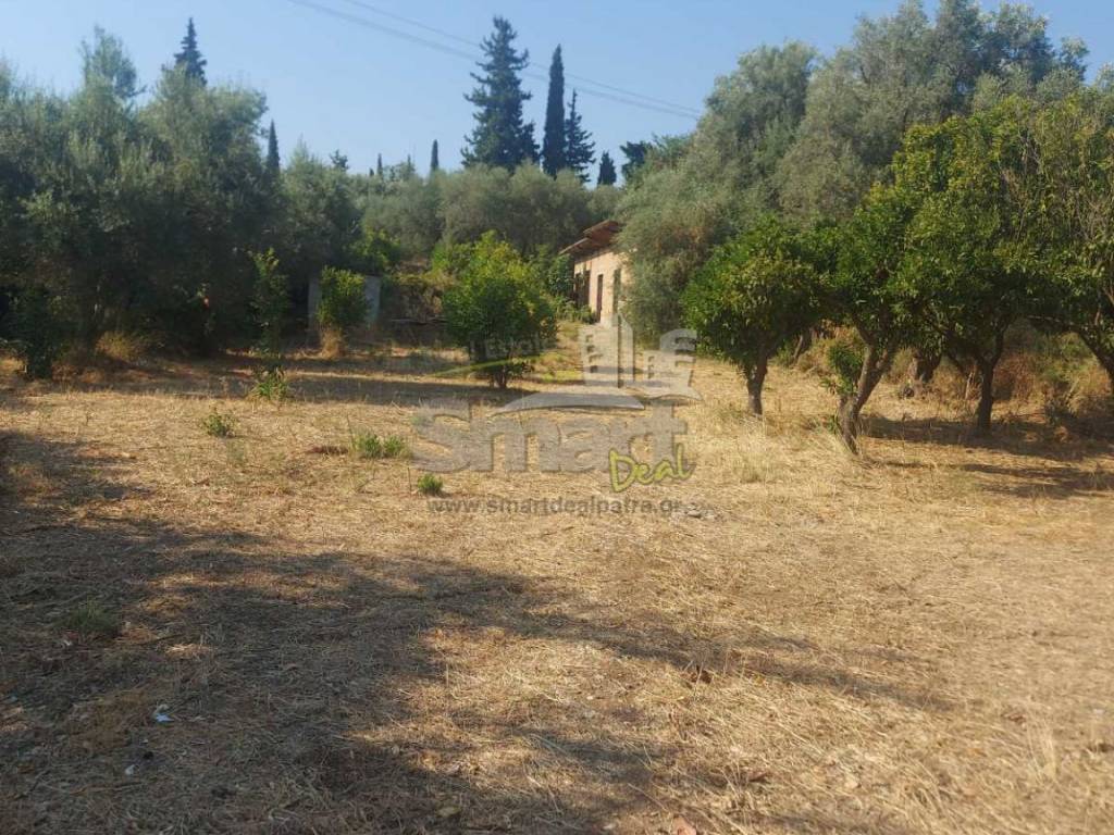 Εξωτερικοι χώροι