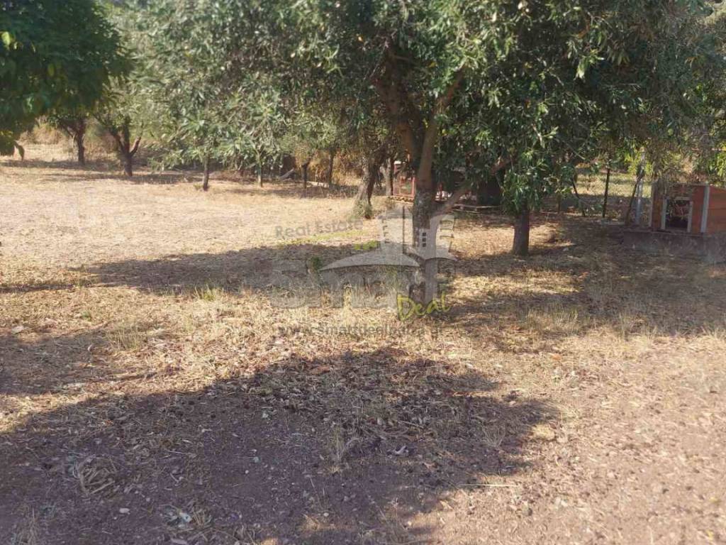 Εξωτερικοι χώροι