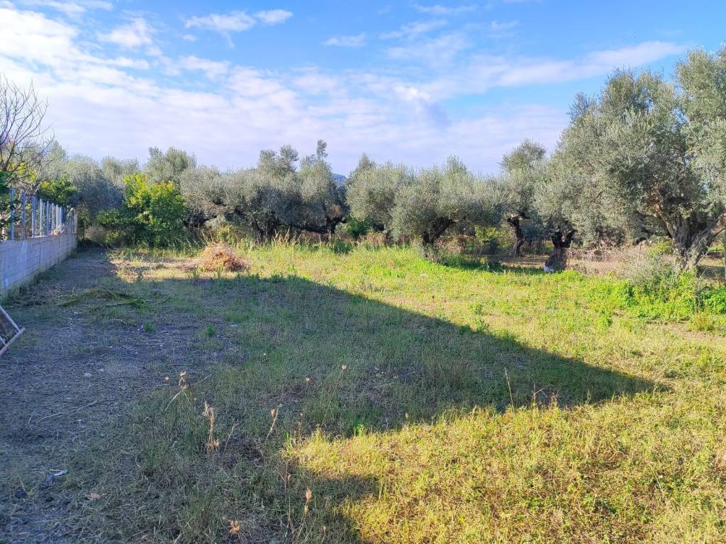 KATALLELO GIA ANEGERSE MONIMES E EXOCHIKES KATOIKIAS