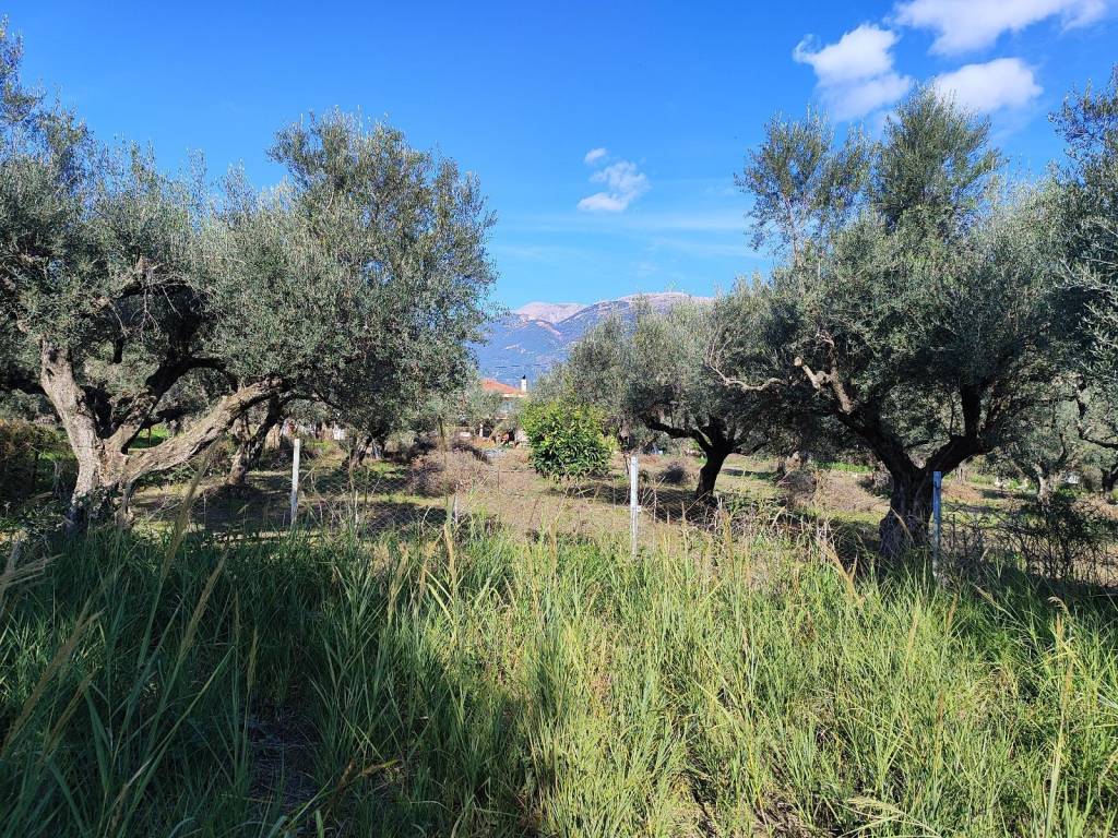 SE OMORPHE KAI ESYCHE GEITONIA