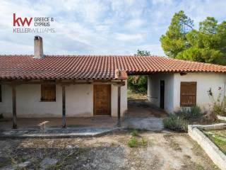 Εξωτερικοι χώροι