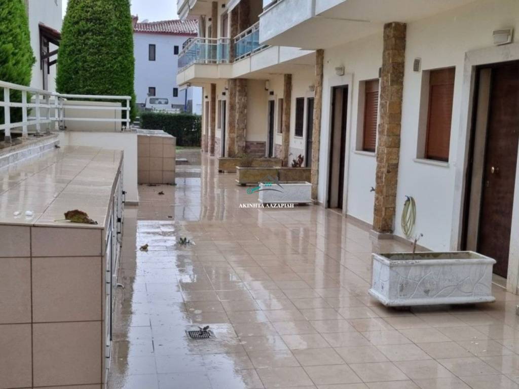 Είσοδος Μεζονετών