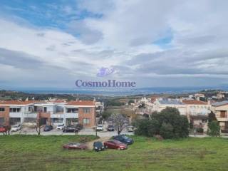 ΘΕΑ ΑΚΙΝΗΤΟΥ