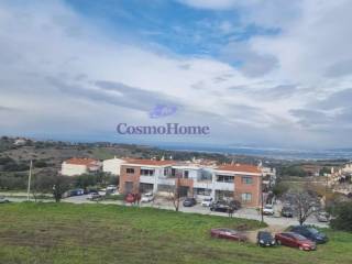 ΘΕΑ ΑΚΙΝΗΤΟΥ