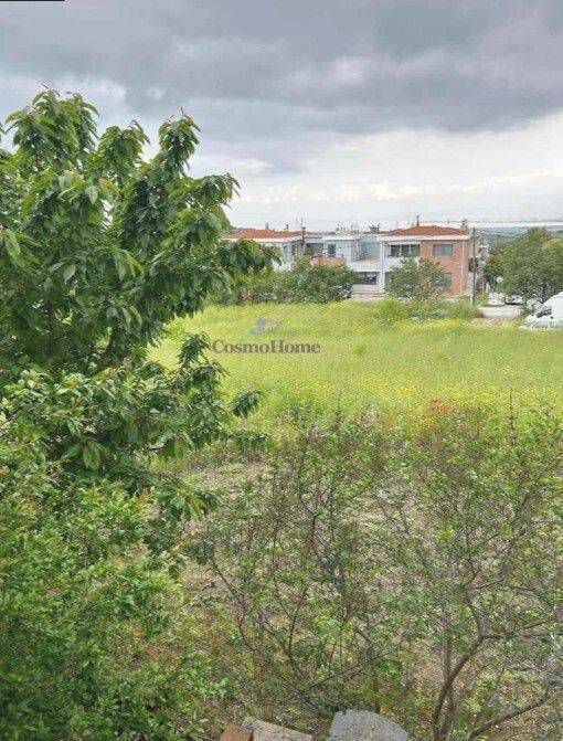 ΘΕΑ ΑΚΙΝΗΤΟΥ