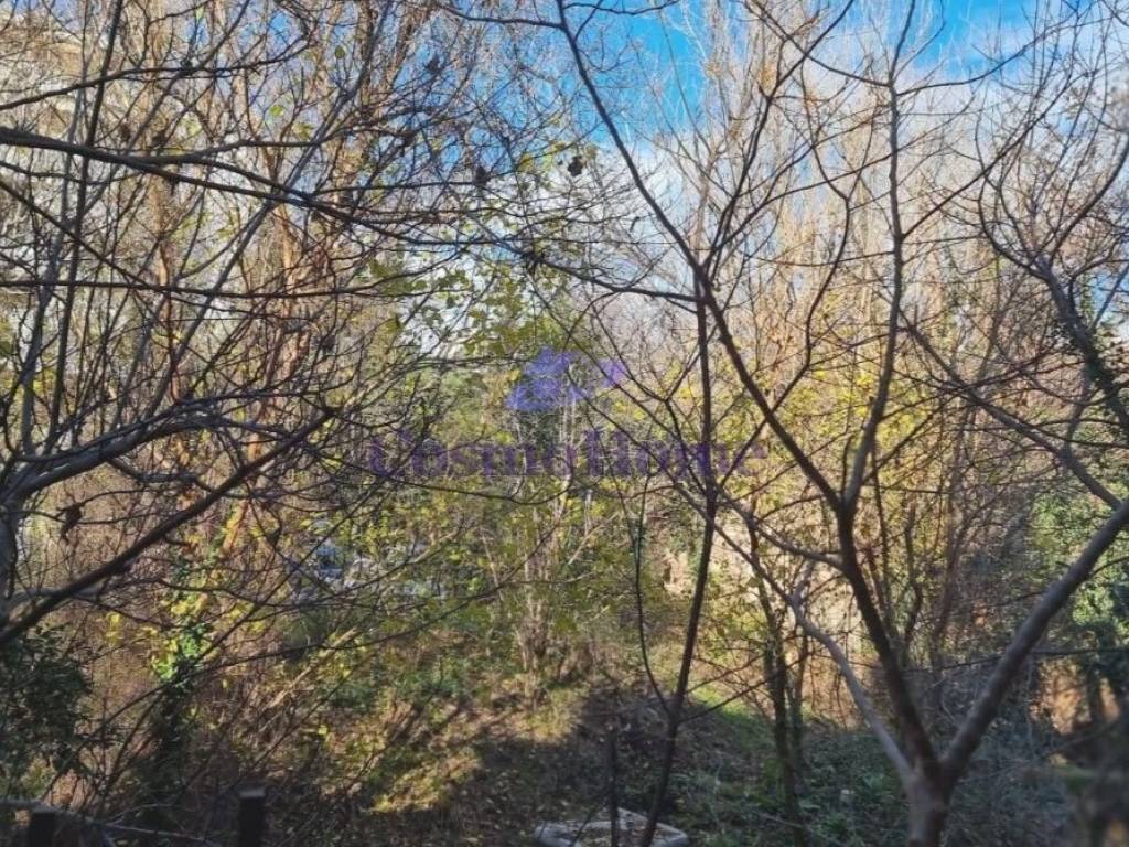 ΘΕΑ ΑΚΙΝΗΤΟΥ